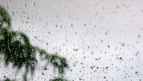 rain drops falling on transparent glass