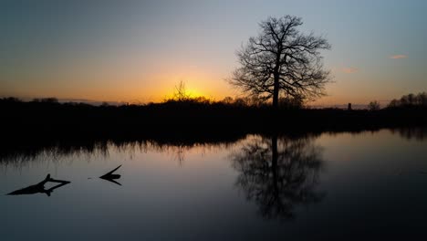 silhouette of driftwood in perfectly calm lake water reflecting sunset, time lapse