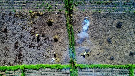 local people doing farming near mount bromo an aerial view, indonesia