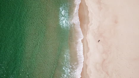 over head drone shot of two people on white sand beach with waves rolling in, tasmania australia