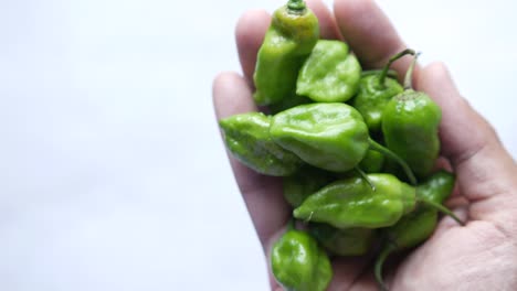 un puñado de chiles verdes frescos