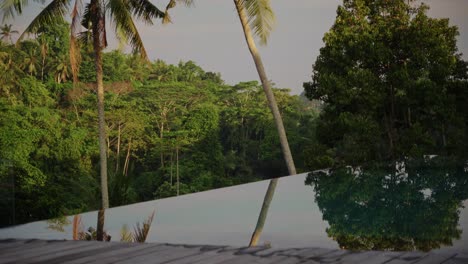 infinity pool in ubud, bali with jungle view, surrounded by green trees and plants. the fresh greenery reflects on the water, creating a calm and beautiful tropical scene.