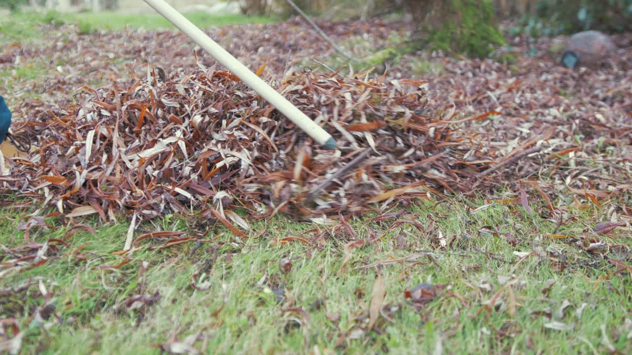 rastrillar las hojas caídas en el jardín