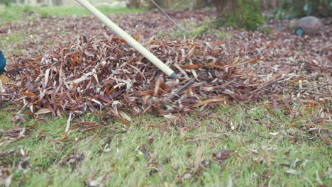 rastrillar las hojas caídas en el jardín