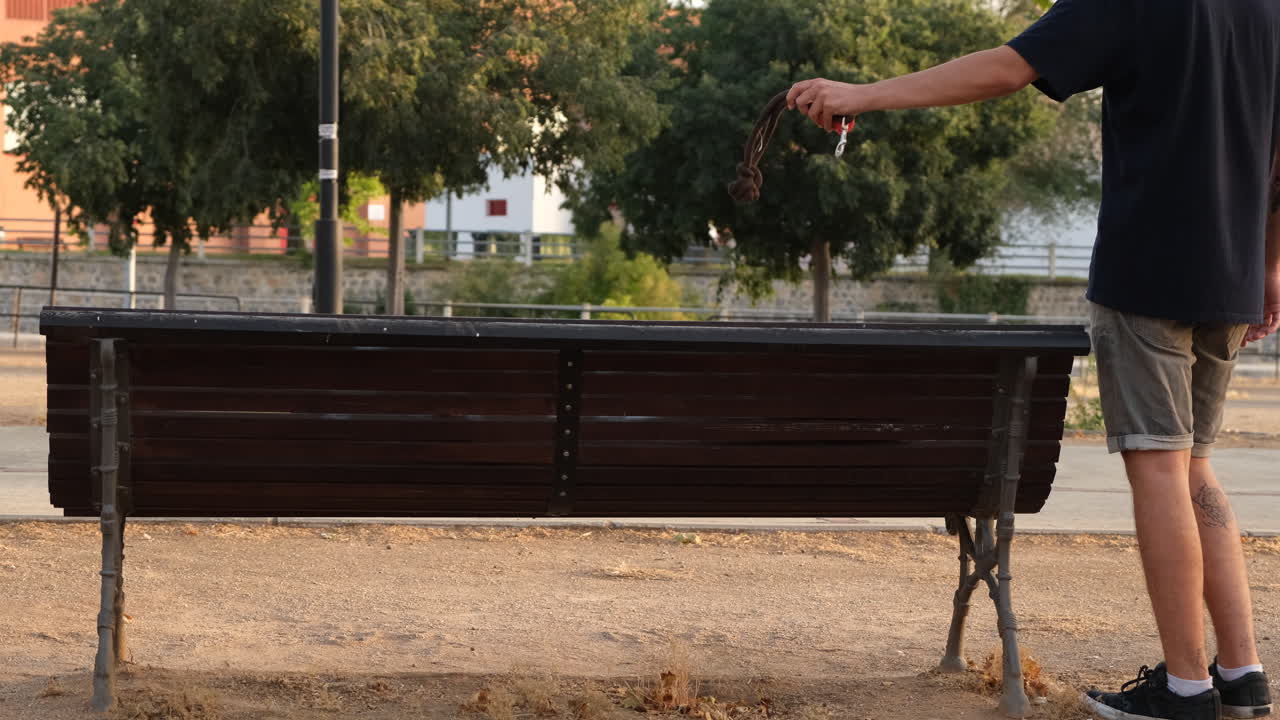 Dog jumping off a park bench at sunset, slow motion video, 60 fps