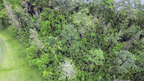 Colombia-Eastern-Plains---Llanos-Orientales-46