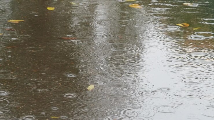 círculos de lluvia y hojas amarillas en el charco en la carretera