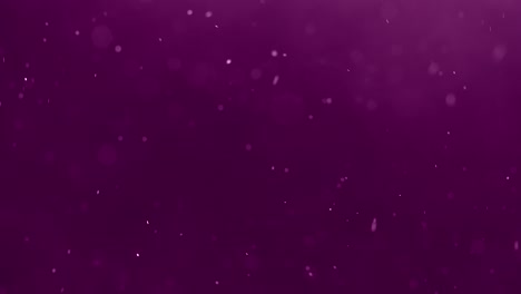 partículas flotantes sobre un fondo morado