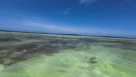 POV-Navegando-En-Un-Claro-Humedal-Verde-Mar-Caribeño,-Los-Roques-Venezuela