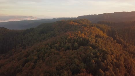 Aerial-view-of-gentle-mountain-peaks-and-slopes-covered-with-abundant-trees