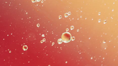 animation of bubbles moving on red background with copy space