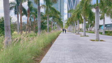 Gente-Caminando-En-La-Pasarela-Del-Parque-En-Un-Hermoso-Día