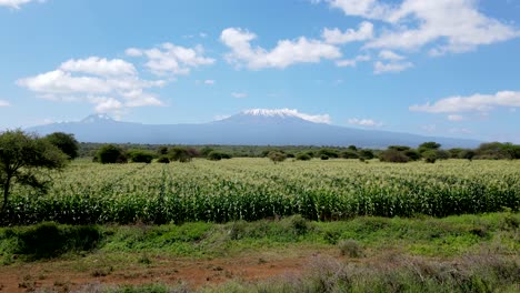 Drones-Volando-En-Granjas-En-Las-Laderas-Del-Kilimanjaro---Granjas-Verdes-De-Kenia,-Asentamientos-Pobres-En-África-Plantación-Agronómica-Aérea