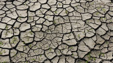 Heißer-Sommer.-Es-Wird-Trocken.-Die-Erde-Brach-Auf