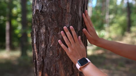 niño tocando un tronco de árbol en un bosque