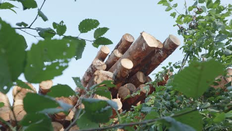 pile of freshly cut lumber at a river-bank logging site in the united states