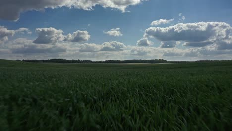 Volando-Sobre-Un-Pintoresco-Campo-De-Hierba-Contra-El-Cielo-Azul-Nublado---Disparo-De-Drones