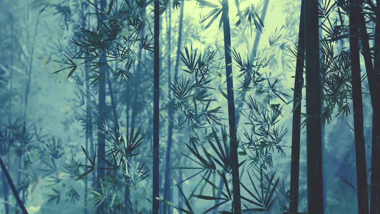 Enchanting bamboo forest shrouded in mist during early morning hours