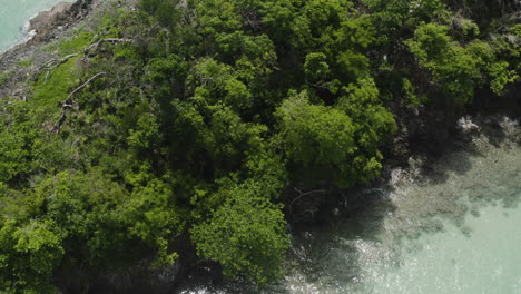 aerial - turquoise waters of playa rincon beach, dominican republic, tilt down rising