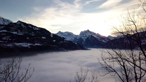 Wir-Gehen-Durch-Einige-Bäume,-Um-Die-Große,-Wunderschöne-Nebellandschaft-Der-Schweiz-Zu-Zeigen