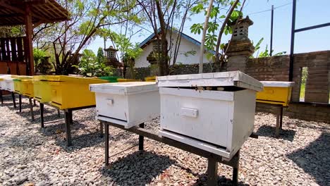 many beehives on sunny day in indonesia, motion view