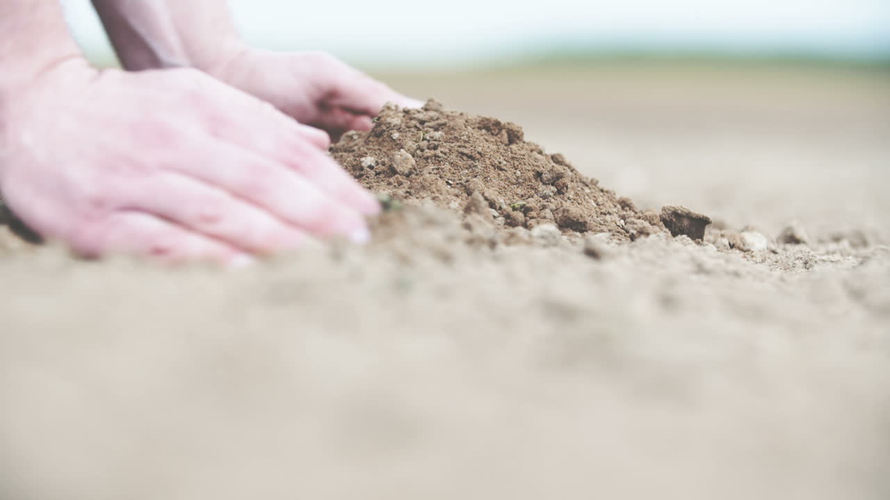 일출 빛에 유기농 토양을 들고 다시 붓는 농부의 손
