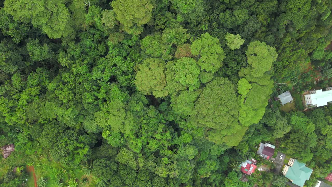 paisajes en las seychelles filmados con un dron desde arriba que muestran la naturaleza, las montañas, las casas y las islas en la isla principal mahe