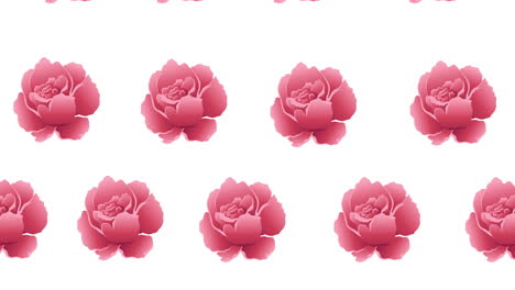 composición de filas de flores rosadas que se mueven sobre un fondo blanco