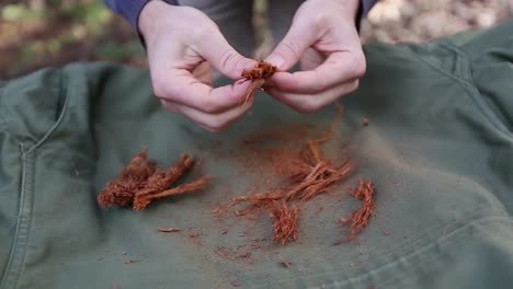 Splitting-wood-fibers-with-hands-onto-canvas