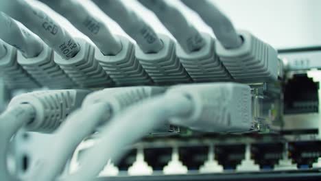 network switch and cables closeup