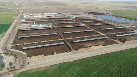 a broad beautiful view of an american dairy on a sunny day with green pastures and spacious pens for the cows