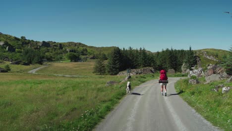 backpacker with his dog on leash walking in the road in summer