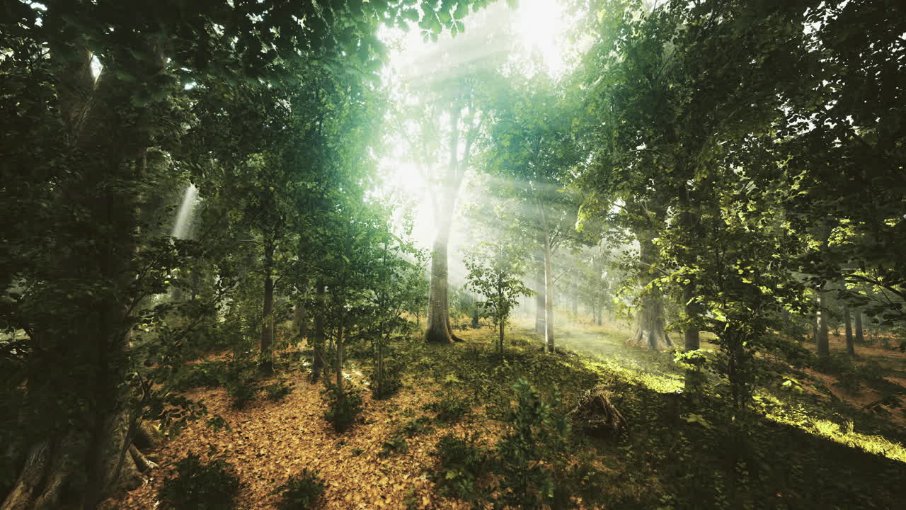 Majestic forest light filtering through dense greenery at dawn