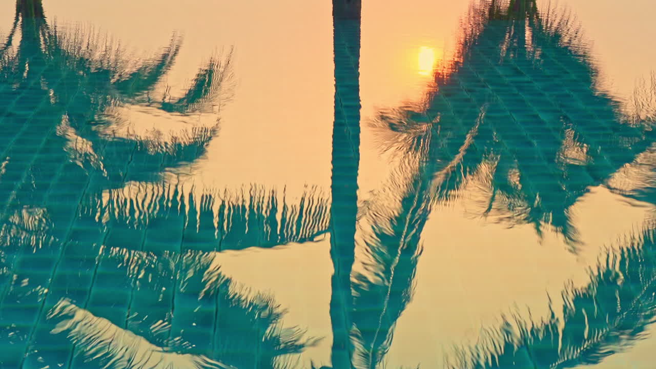 Palm trees and sun reflections in the swimming pool water on sunset