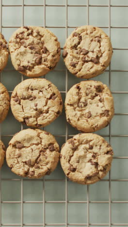video de filas de galletas en un estante de horneado sobre un fondo blanco
