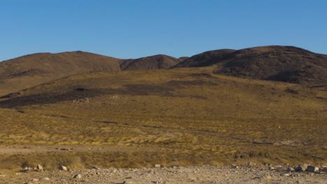 colina del desierto contra un cielo azul