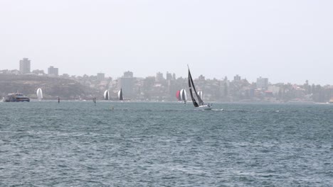 sailing boat is getting impacted by strong wind - sydney australia