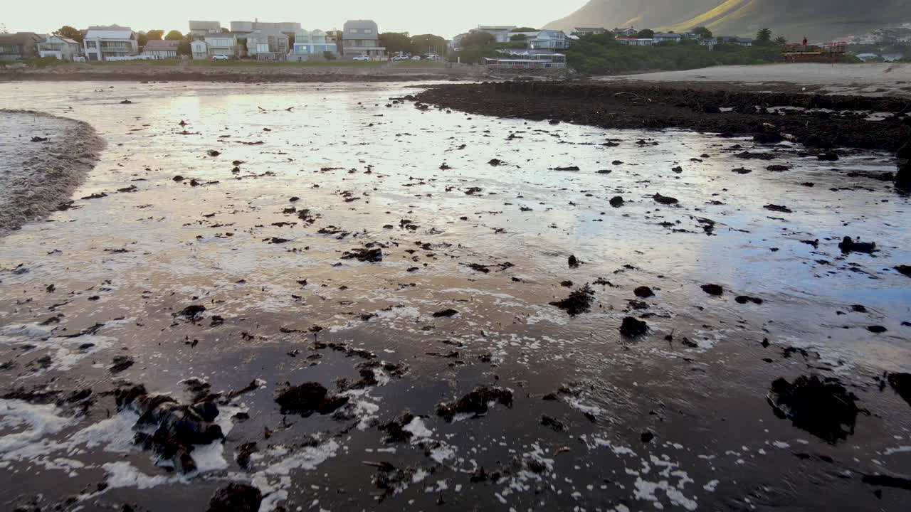 홍수 후 온루스 해변에 겨난 식물 물질과 뿌리의 잔해, 공중