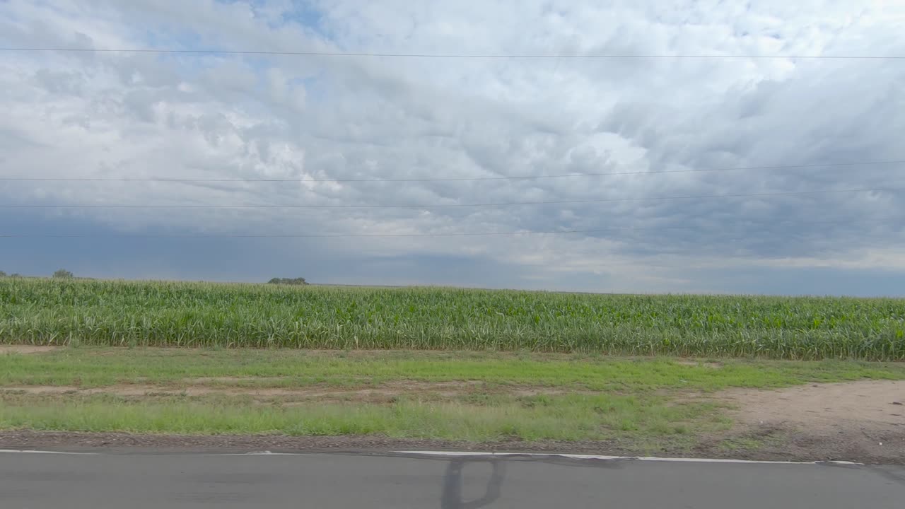 트럭의 창문을 통해 미국을 보고