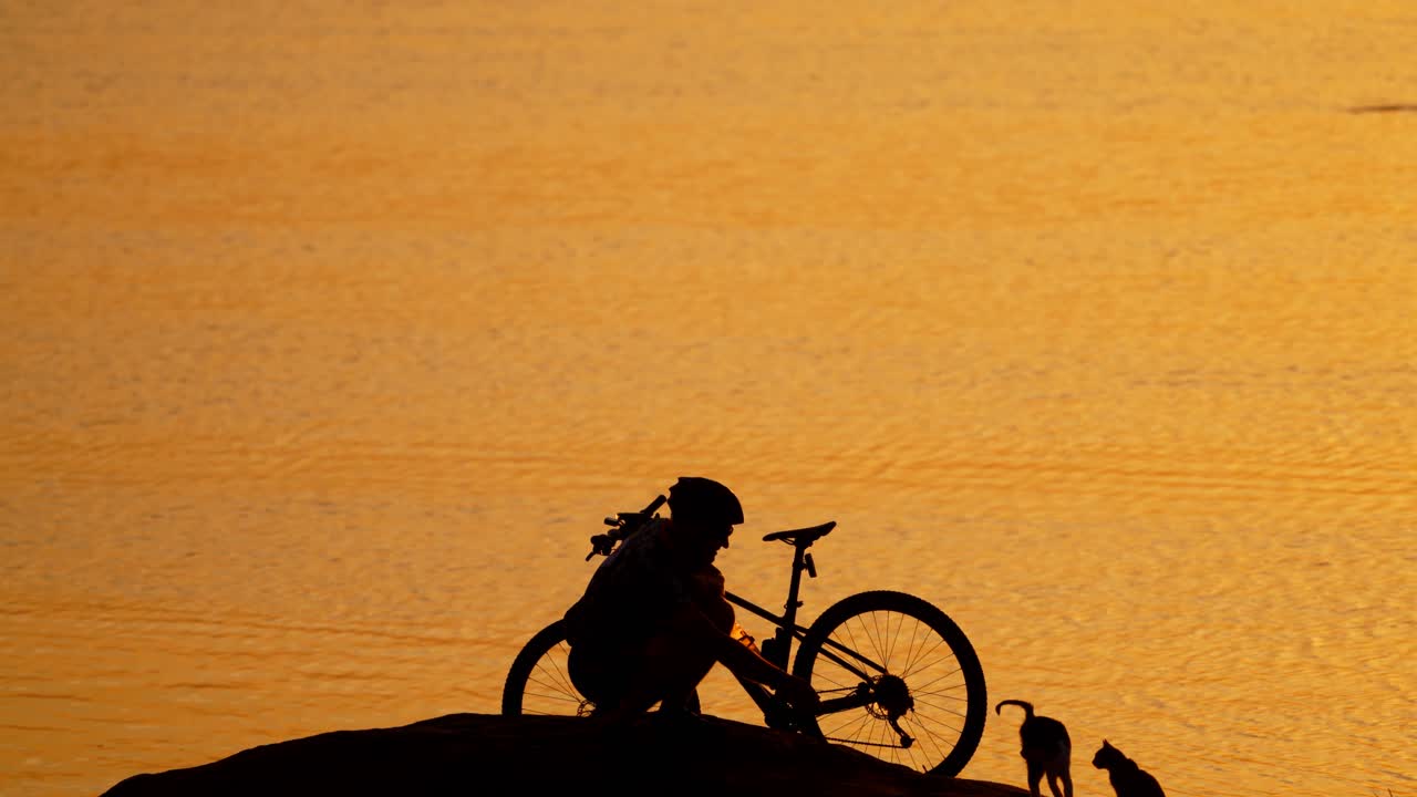 Man with bicycle resting near river. Silhouette of man with bicycle near the peaceful river with cats