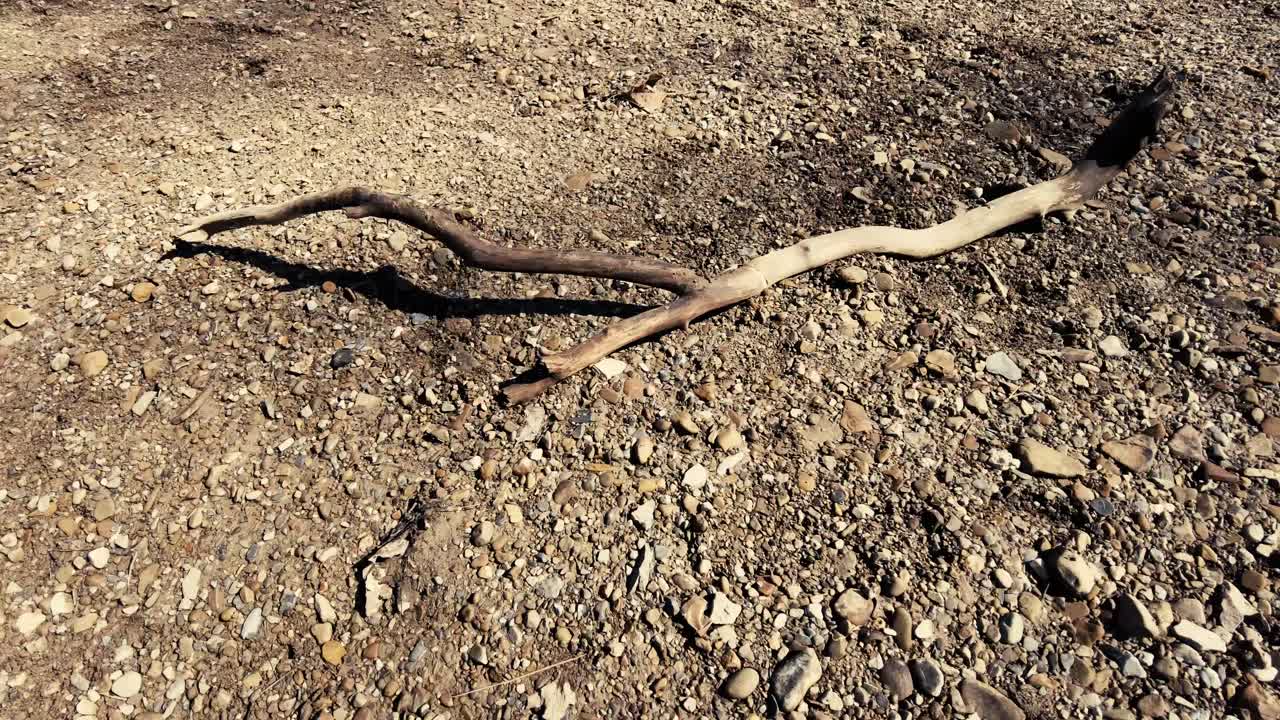Washed up driftwood on the edge of a riverbank.