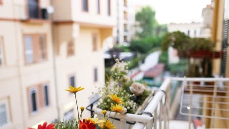 colorful flowers on a naples balcony