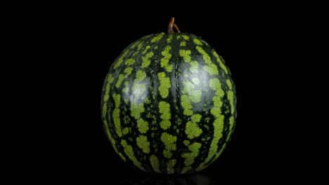 on a rotating watermelon falling water drops.