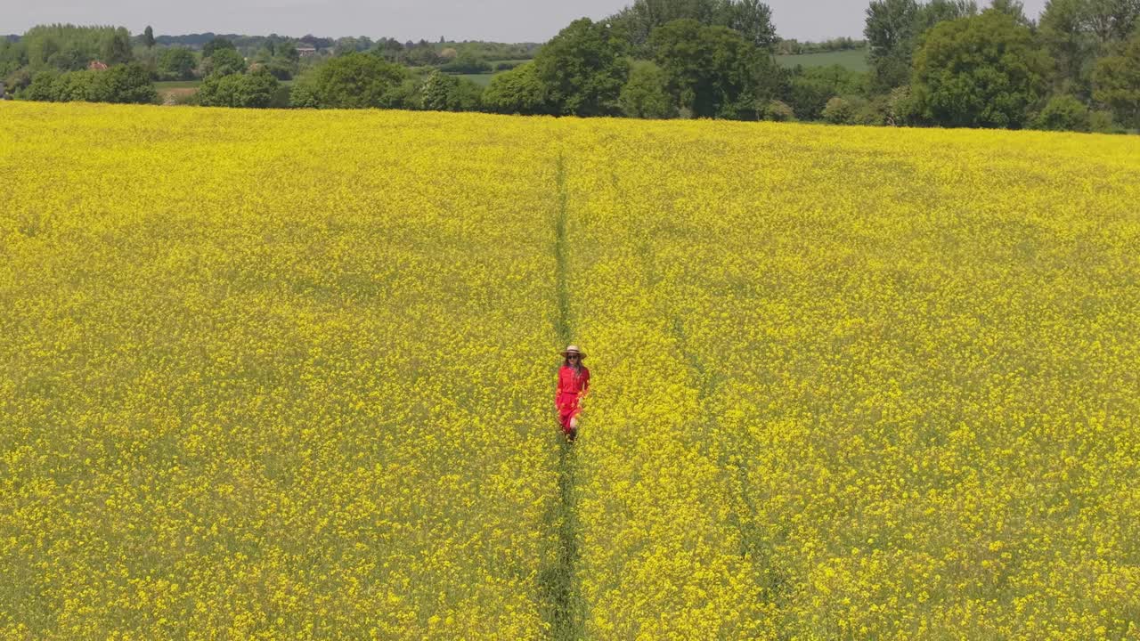op-down drone reveal of a woman in a red dress walking through a blooming field, gradually unveiling the vibrant meadow and distant landscape