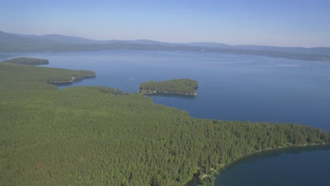 aerial view of a lakeside forest