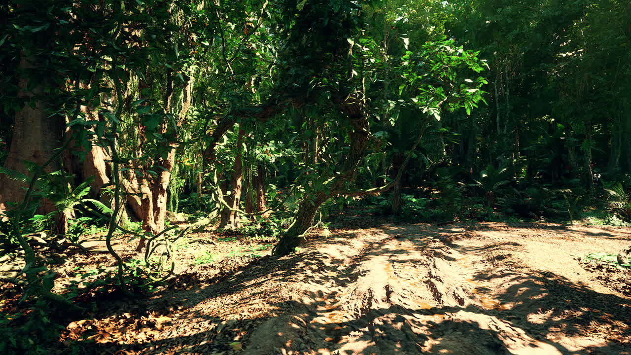 울창한 숲 속 의 정글 길