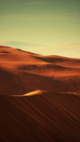 paisaje de dunas de arena del desierto