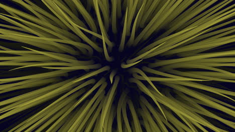 intrincado patrón abstracto amarillo y negro arreglo circular y espiral