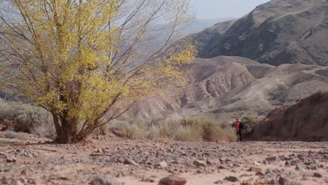 Small-Creek-Canyon-with-Red-Cliffs-named-Konorcheck-Canyon