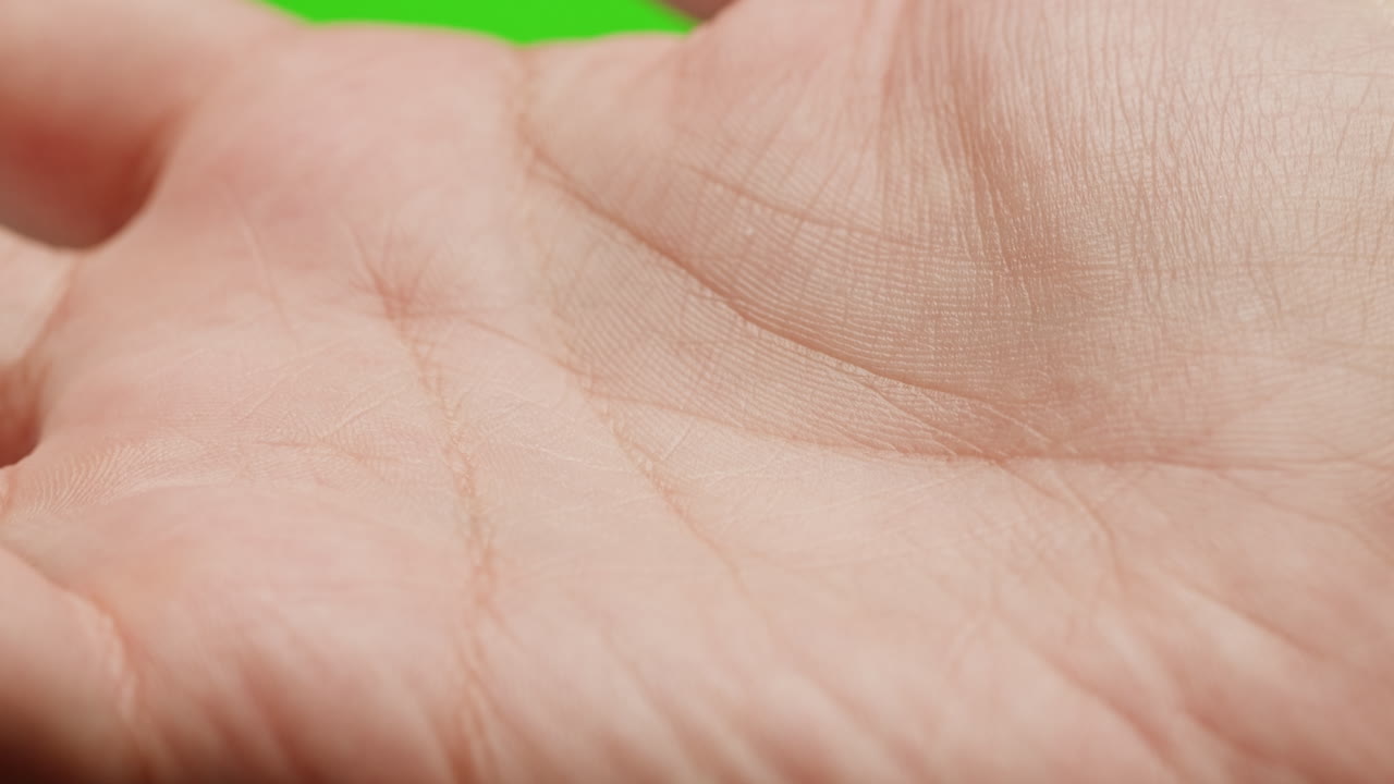 Close-up of a human palm
